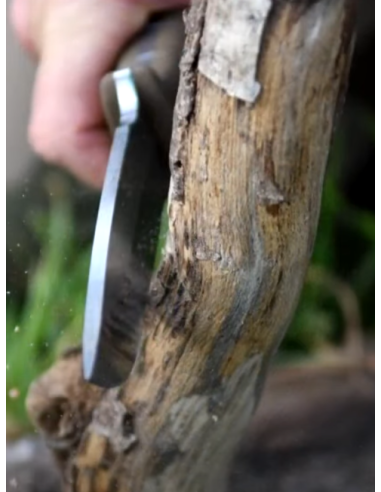 Couteau de survie Tarasco