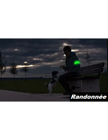 Brassard Lumineux Vert rechargeable