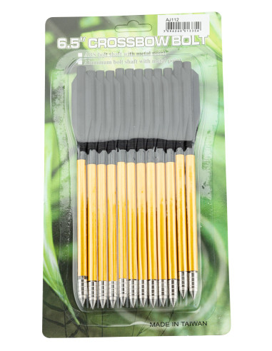 Lot de 12 fléchettes pour pistolet...