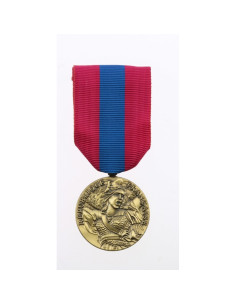 Médaille Défense Nationale