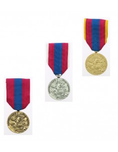 Médaille Défense Nationale